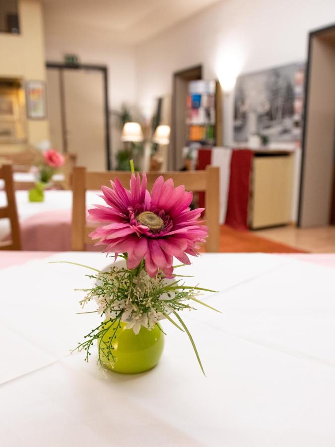 Pension Hotel Mariahilf Vienna Esterno foto