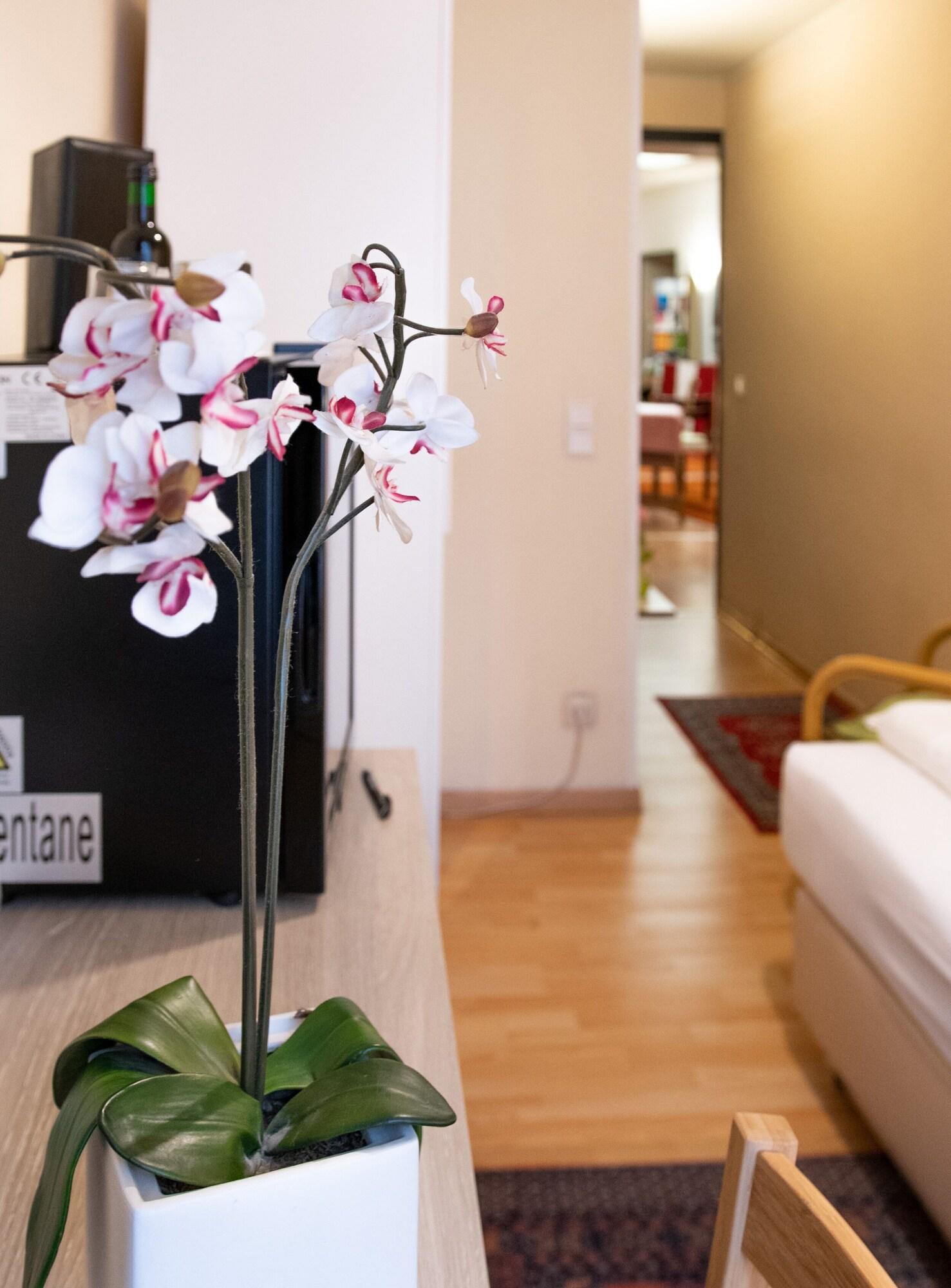 Pension Hotel Mariahilf Vienna Esterno foto